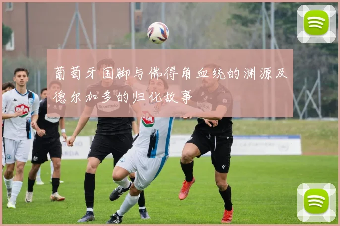 葡萄牙国脚与佛得角血统的渊源及德尔加多的归化故事