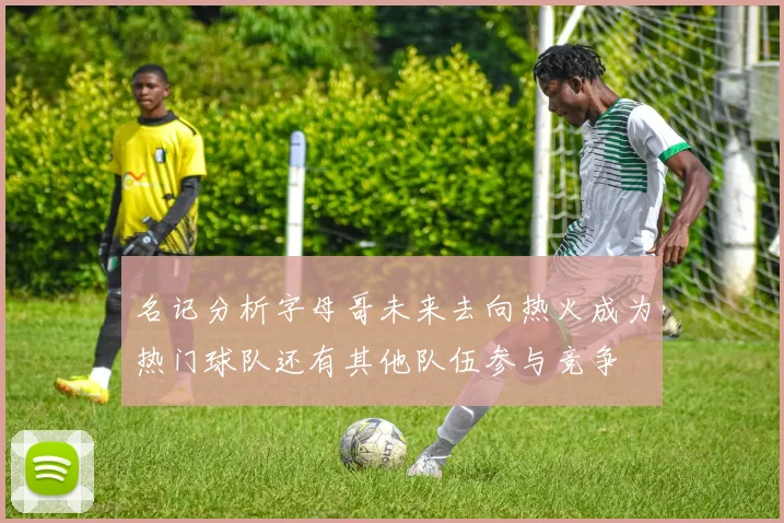 名记分析字母哥未来去向热火成为热门球队还有其他队伍参与竞争